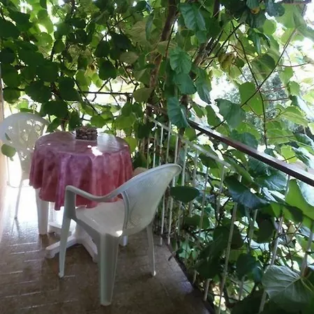 Apartamento With A Parking Space Lumbarda, Korcula - 4411